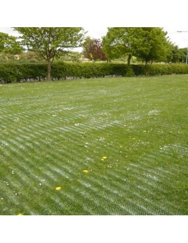 Heavy Duty Grass Protection Mesh, 14mm thick - Heavy Duty Grass Protection Mesh, 14mm thick -