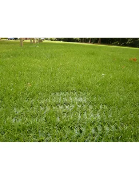 Heavy Duty Grass Protection Mesh, 14mm thick - 