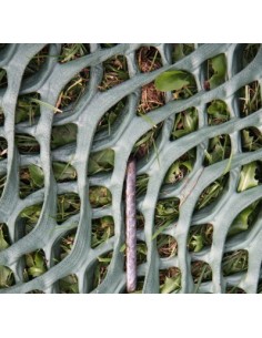 Grass Protection Mesh 2