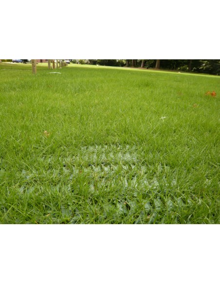 Heavy Duty Grass Protection Mesh, 14mm thick - 